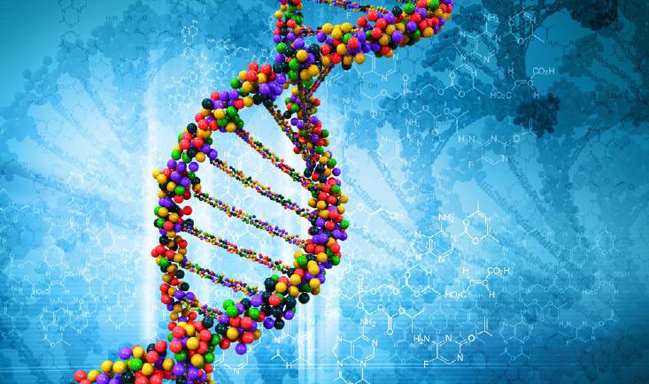 生物化学（药学本科）课程封面