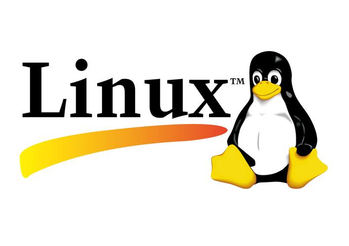 Linux系统管理（含Shell应用开发）课程封面