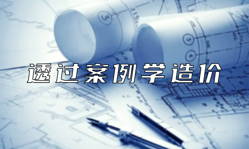 透过案例学造价课程封面