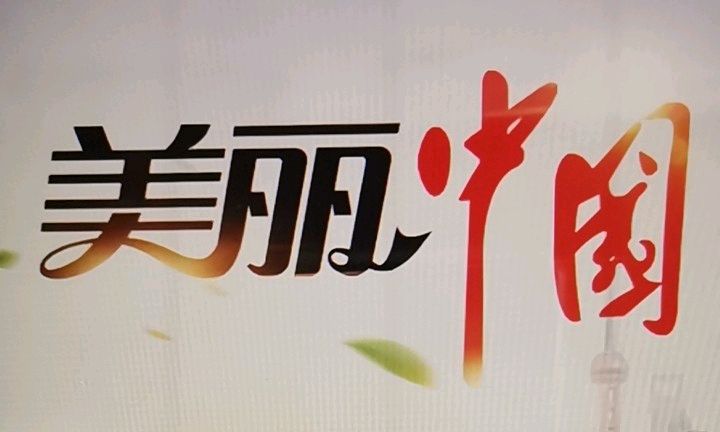 毛泽东思想和中国特色社会主义理论体系概论课程封面
