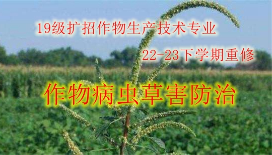 作物病虫草害防治（2019级作物生产技术22-23下重修）课程封面