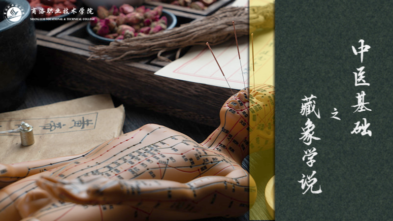 中医基础之藏象学说课程封面