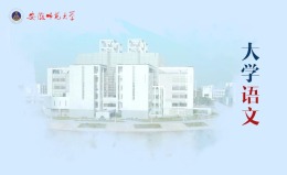 大学语文（安徽师范大学）课程封面