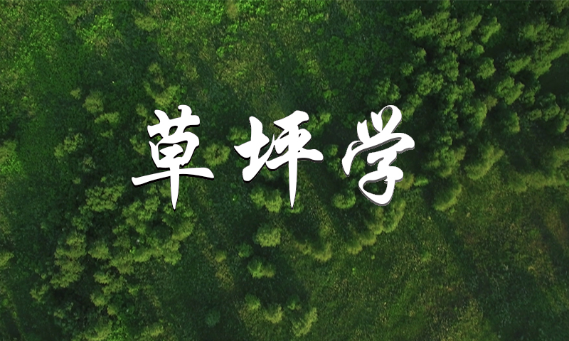 草坪学课程封面