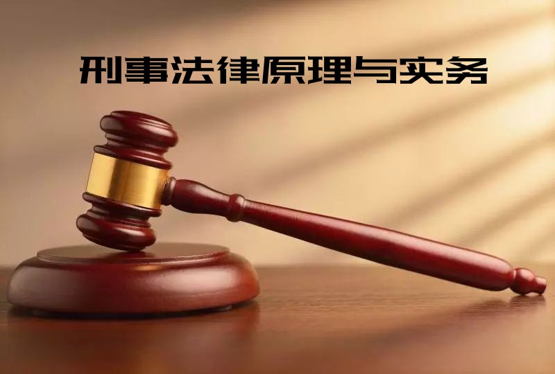 刑事法律原理与实务课程封面