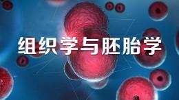 组织学与胚胎学（潍坊医学院）课程封面