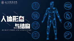 [共享课]人体形态与结构课程封面