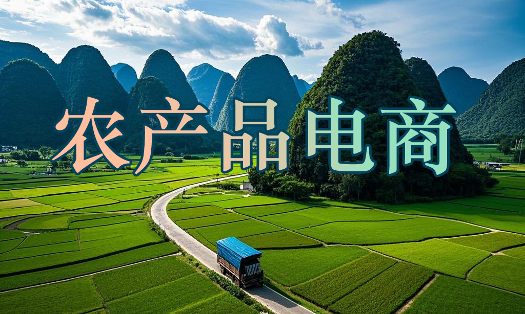 农产品电商课程封面