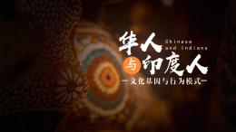 华人与印度人：文化基因与行为模式课程封面