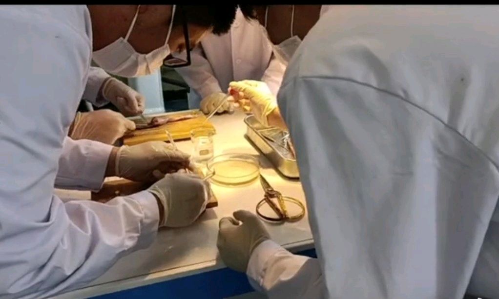 生理学实训课程封面