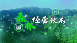 [共享课]森林经营技术课程封面