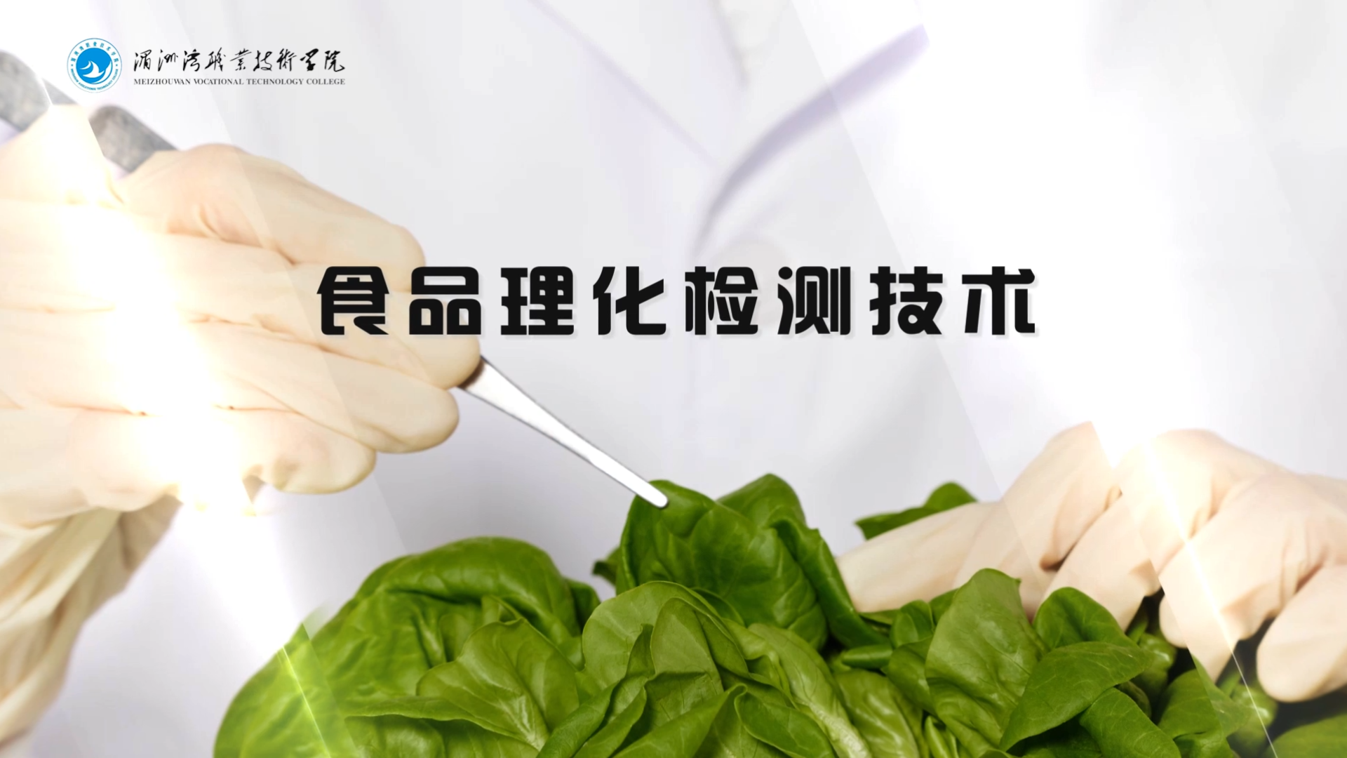 食品理化检测技术课程封面