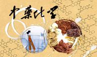 中药化学（2023年春季学期）课程封面