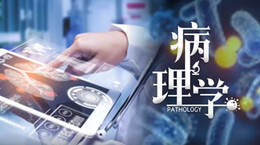 病理学课程封面