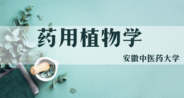 药用植物学课程封面