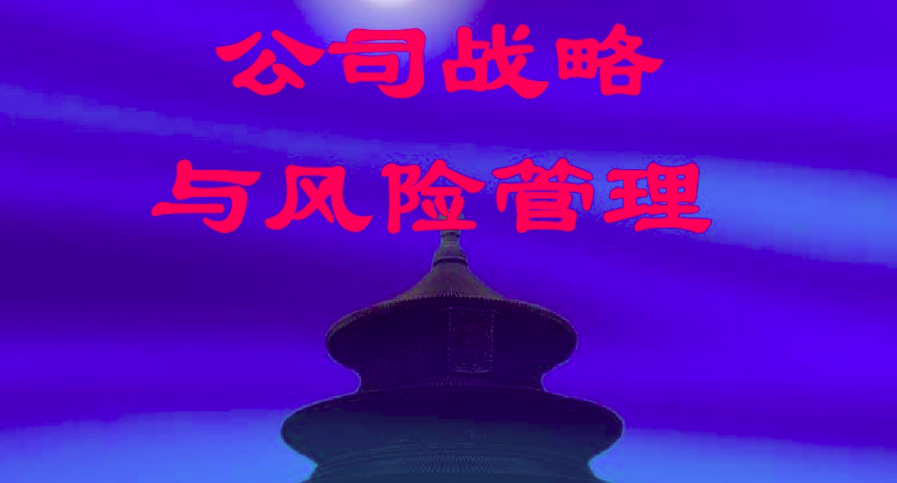 公司战略与风险管理（CPA）课程封面