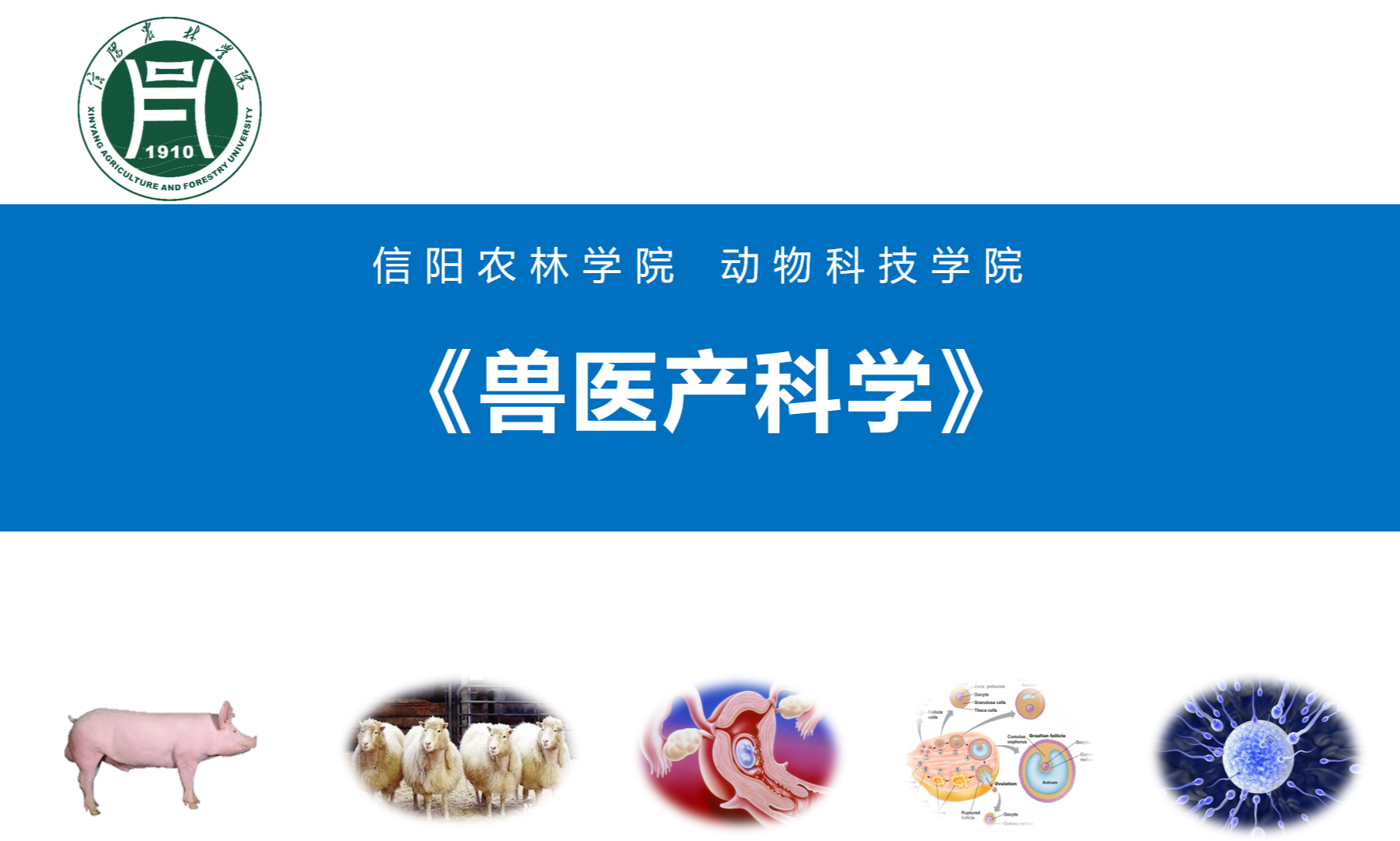 兽医产科学课程封面
