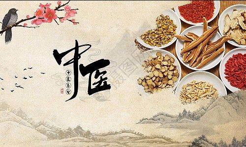 中医学课程封面