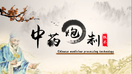 中药炮制技术课程封面