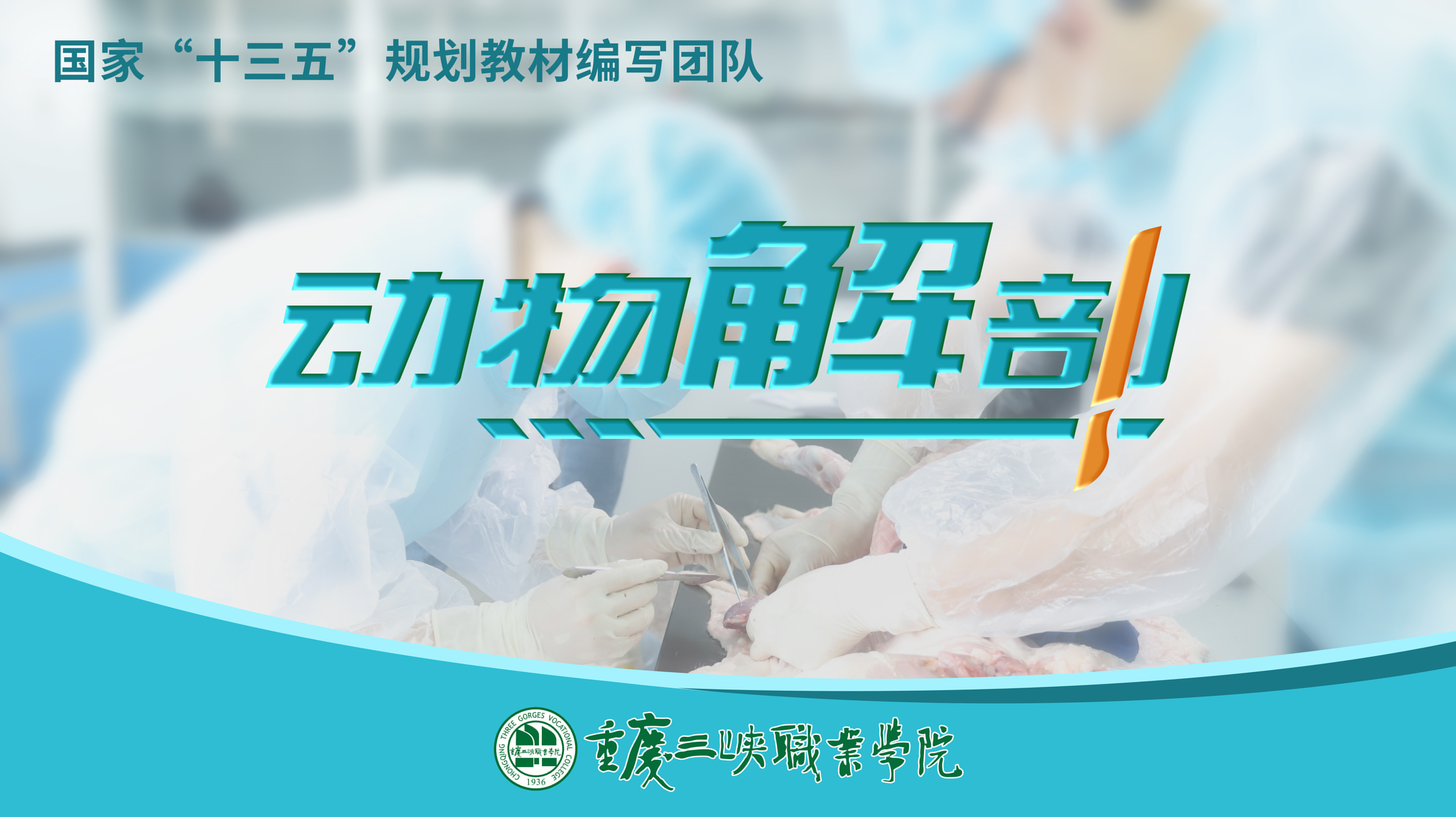 动物解剖(第3期)课程封面