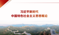 习近平新时代中国特色社会主义思想概论课程封面