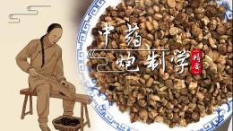 中药炮制学（精要）课程封面