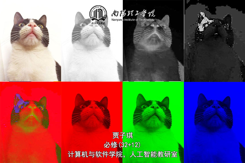 数字图像处理(32+12)课程封面