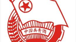 共青团组织管理（山东联盟）课程封面