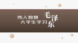 伟人智慧：大学生学习毛泽东课程封面