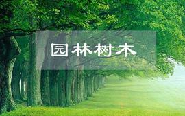 园林树木课程封面