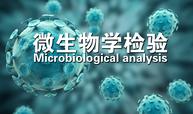 微生物学检验课程封面