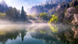 木材·人类·环境课程封面