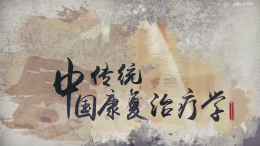 中国传统康复治疗学课程封面