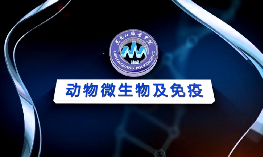动物微生物及免疫课程封面
