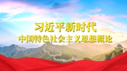 [共享课]习近平新时代中国特色社会主义思想概论课程封面