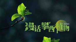 漫话攀西植物课程封面