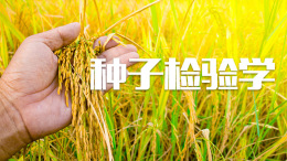 种子检验学课程封面