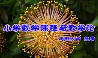 小学数学教学研究课程封面