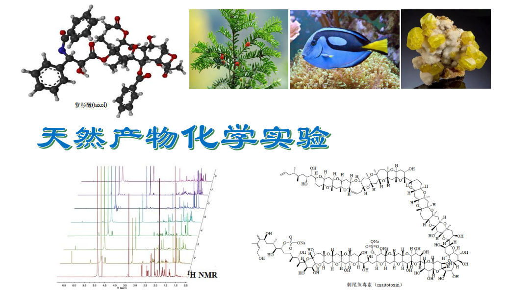 天然药物化学实验课程封面