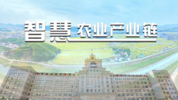 智慧农业产业链课程封面