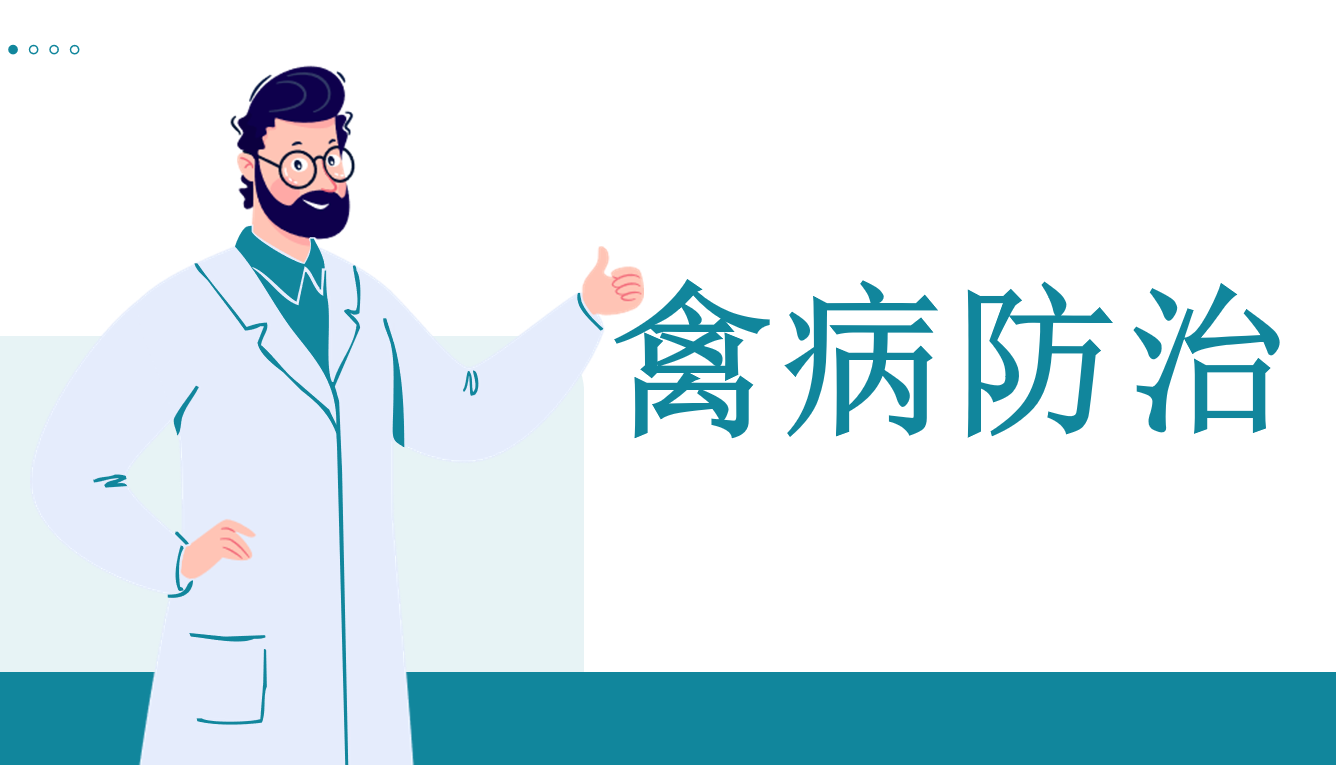 禽病防治-22级畜牧课程封面
