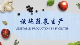 设施蔬菜生产课程封面