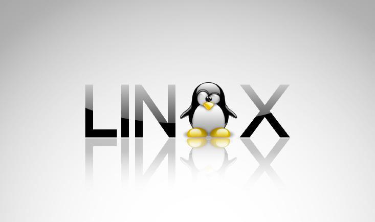 Linux服务器技术课程封面