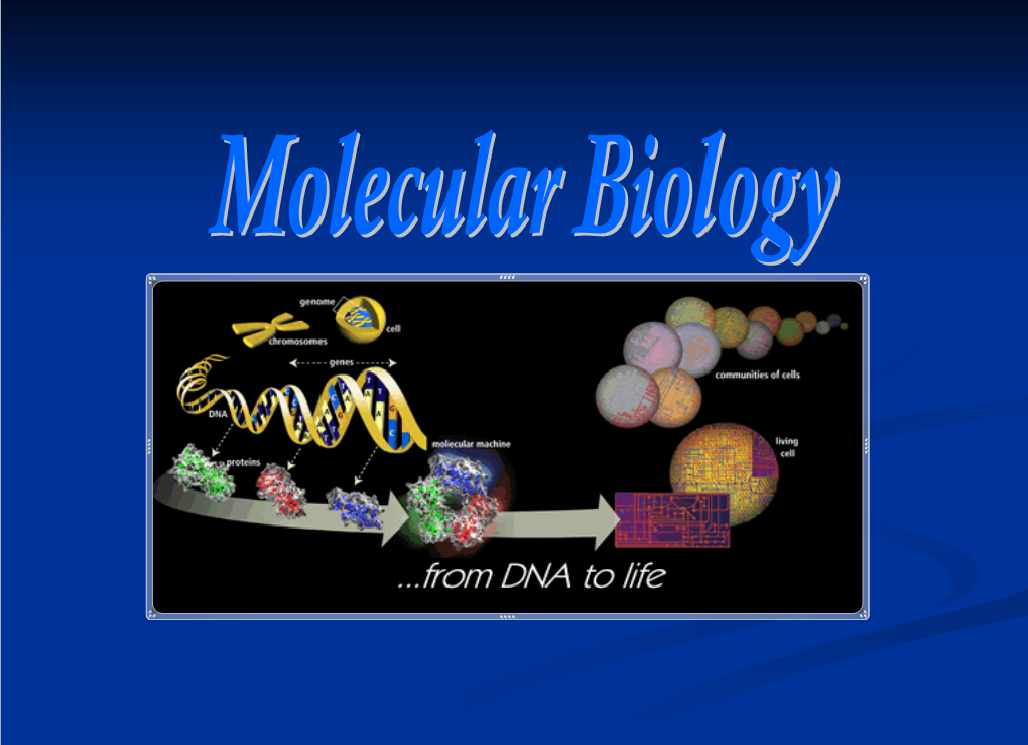 分子生物学课程封面
