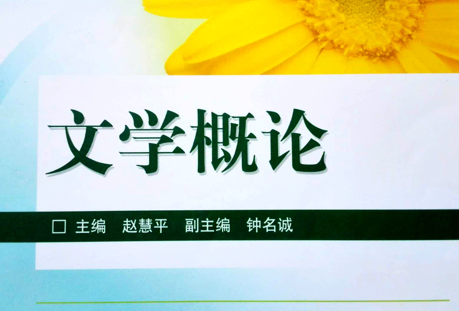 文学概论课程封面