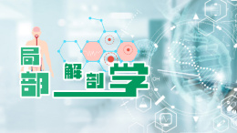 颞区软组织的层次有 ( ) - 题海