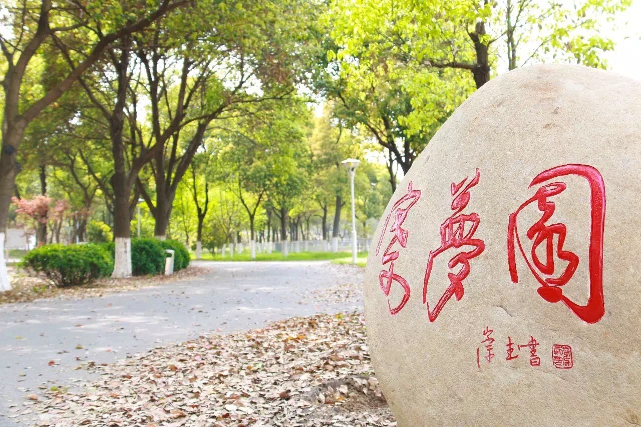 《财税基础》课程封面