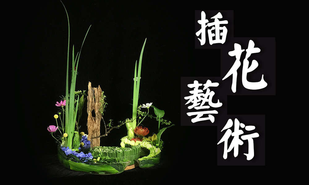 插花艺术课程封面