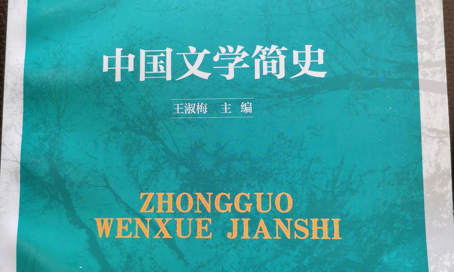 中国文学简史课程封面