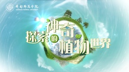 探索神奇的植物世界课程封面